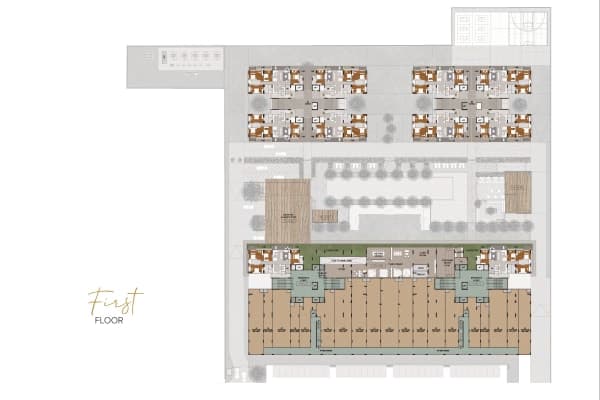 Layout plan